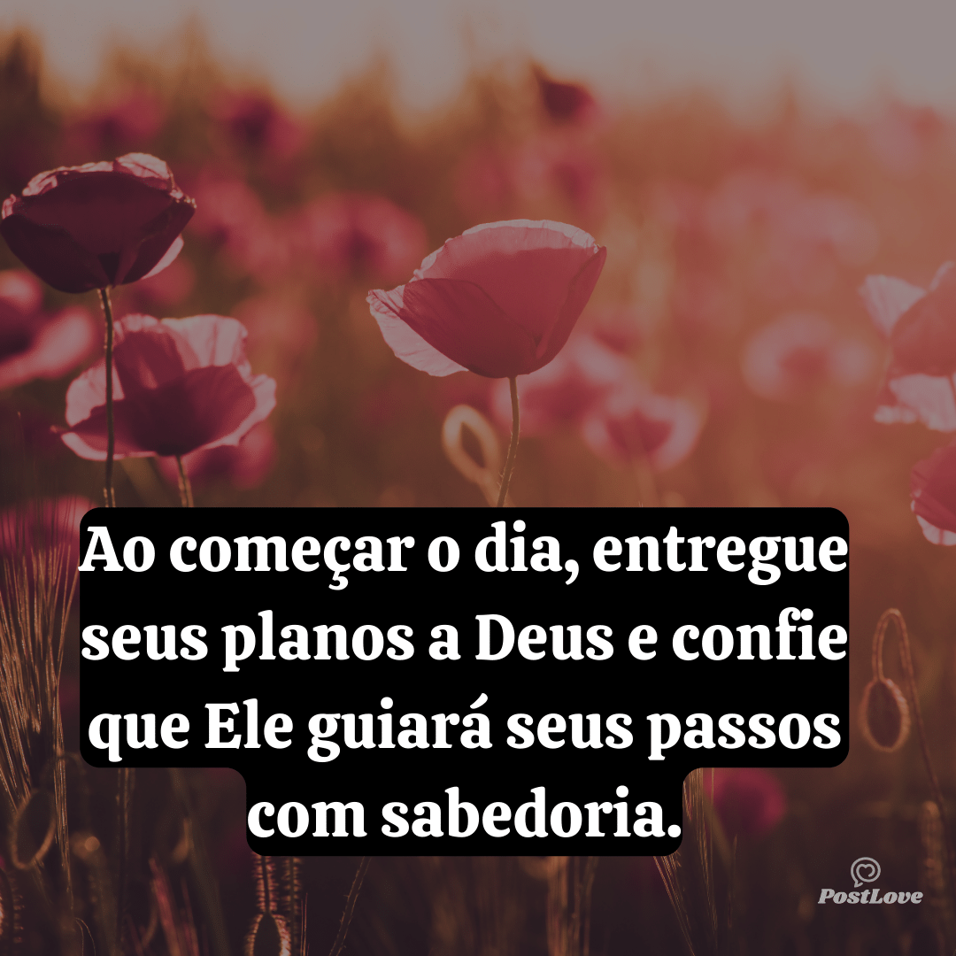 Ao começar o dia, entregue seus planos a Deus e confie que Ele guiará seus passos com sabedoria.