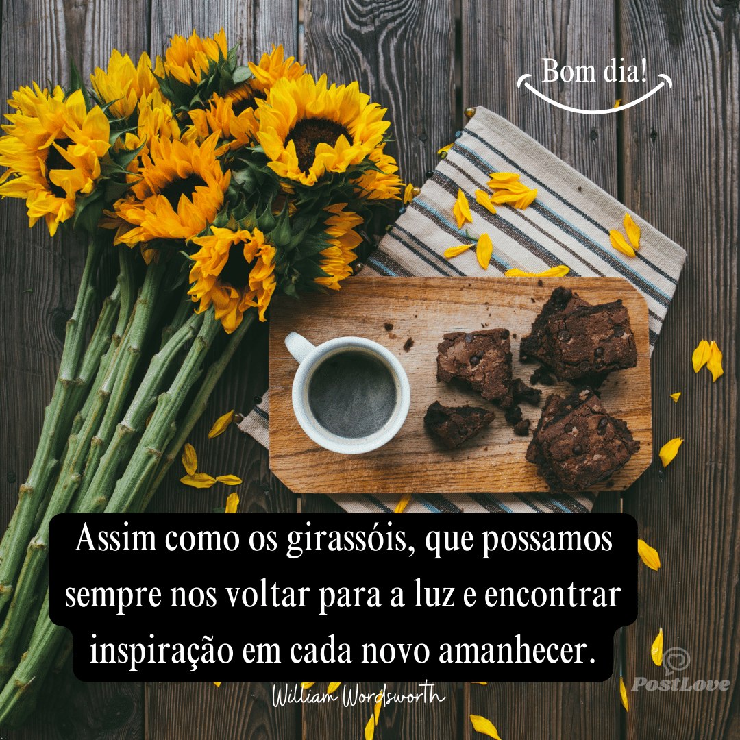 Assim como os girassóis, que possamos sempre nos voltar para a luz e encontrar inspiração em cada novo amanhecer.