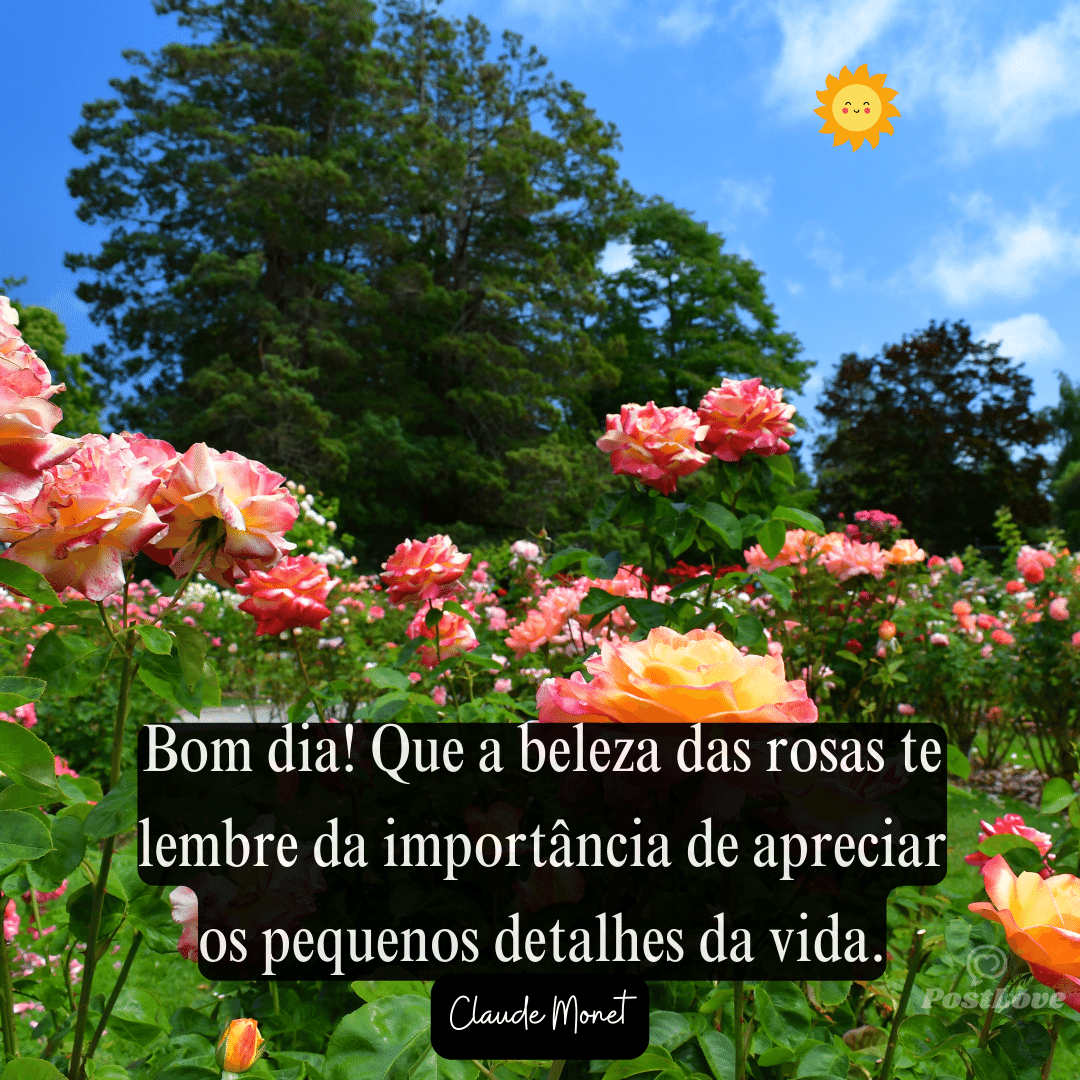 Bom dia! Que a beleza das rosas te lembre da importância de apreciar os pequenos detalhes da vida.