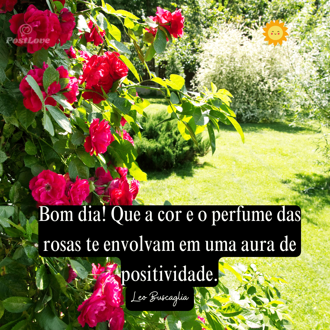 Bom dia! Que a cor e o perfume das rosas te envolvam em uma aura de positividade.