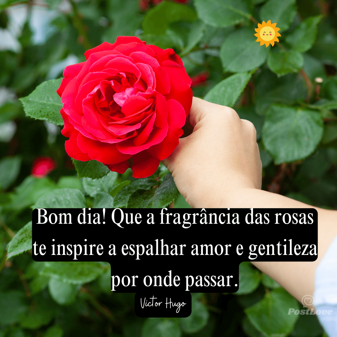 Bom dia! Que a fragrância das rosas te inspire a espalhar amor e gentileza por onde passar.
