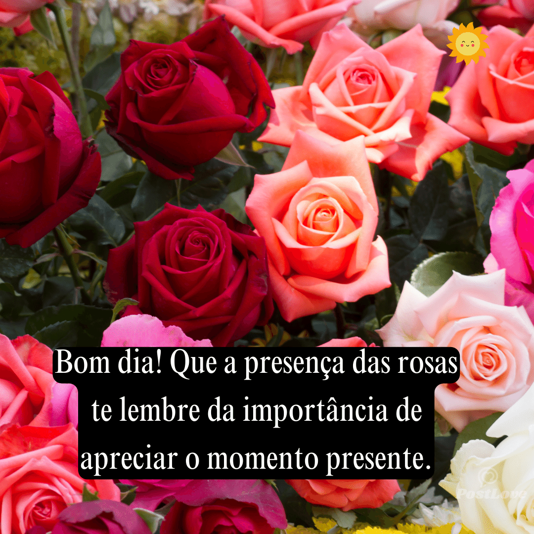 Bom dia! Que a presença das rosas te lembre da importância de apreciar o momento presente.