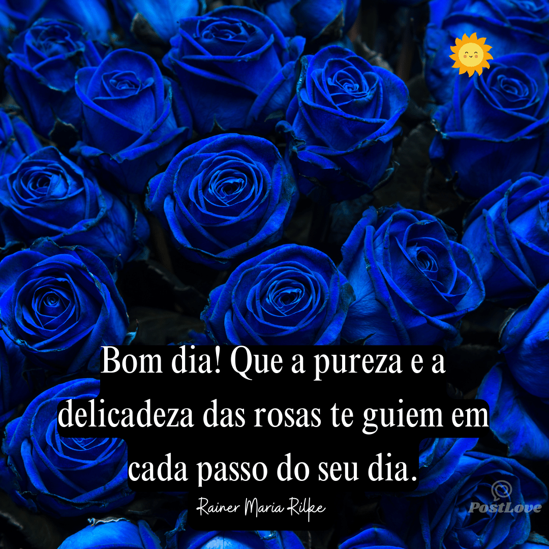 Bom dia! Que a pureza e a delicadeza das rosas te guiem em cada passo do seu dia.