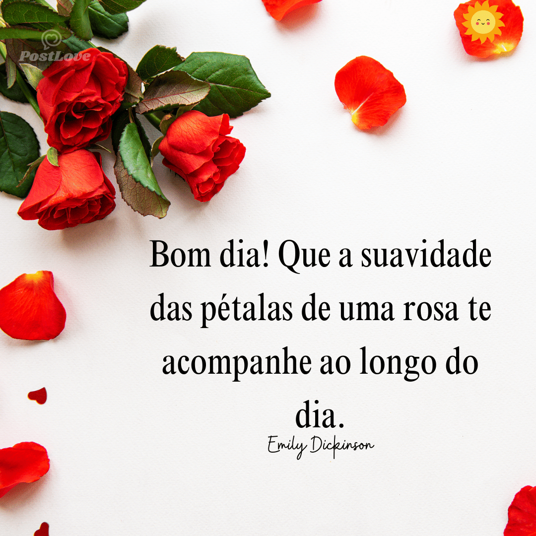 Bom dia! Que a suavidade das pétalas de uma rosa te acompanhe ao longo do dia.