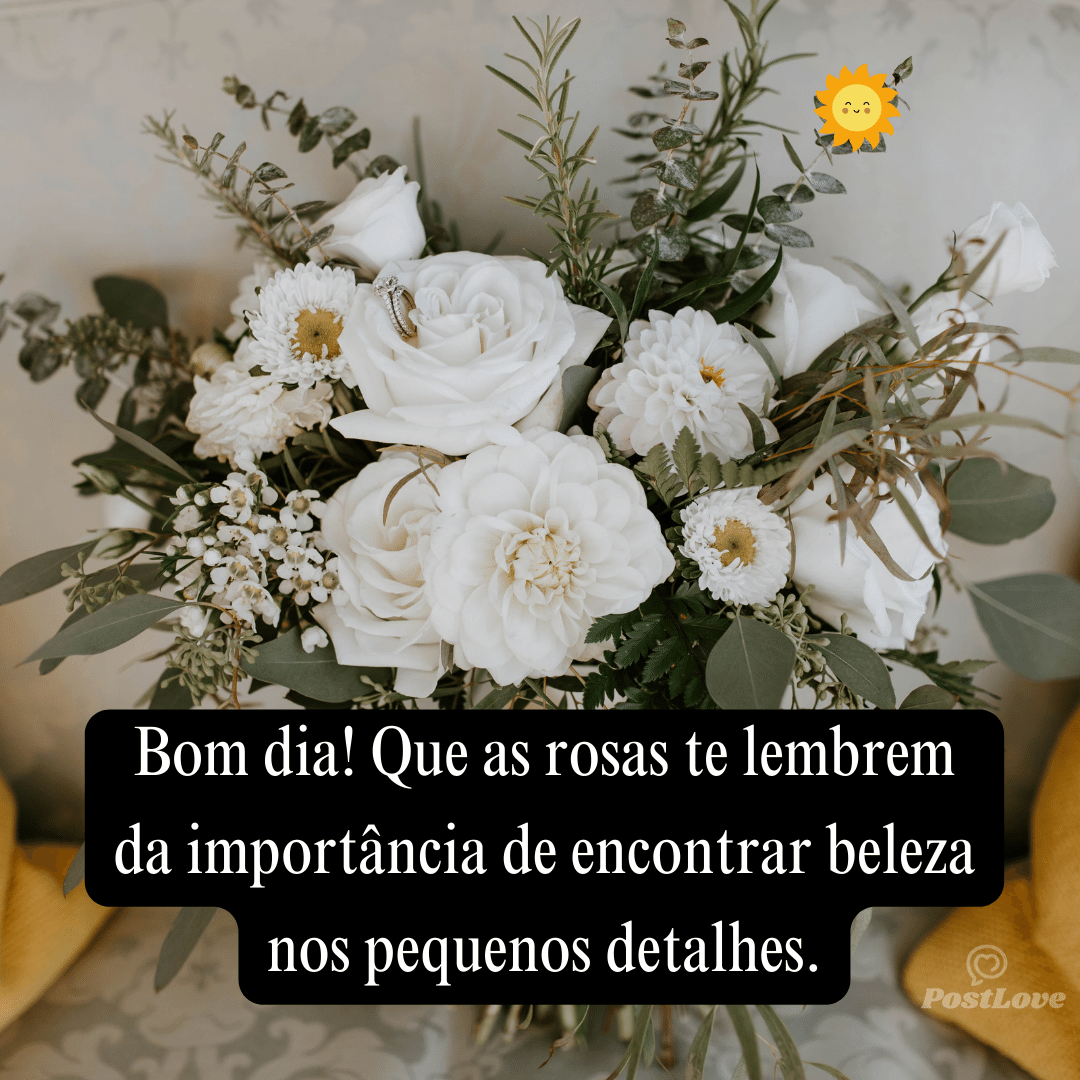 Bom dia! Que as rosas te lembrem da importância de encontrar beleza nos pequenos detalhes.