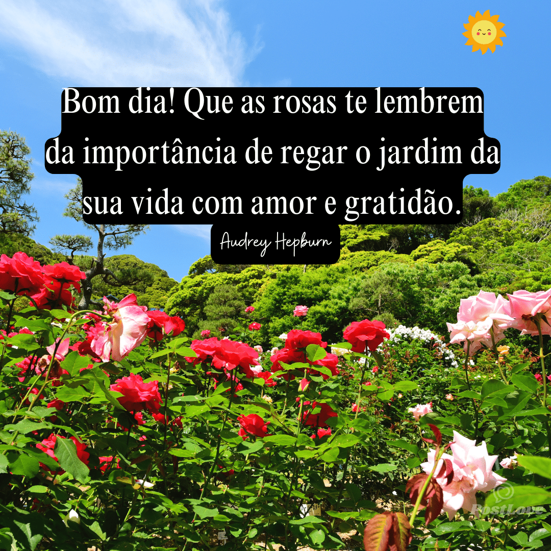 Bom dia! Que as rosas te lembrem da importância de regar o jardim da sua vida com amor e gratidão.