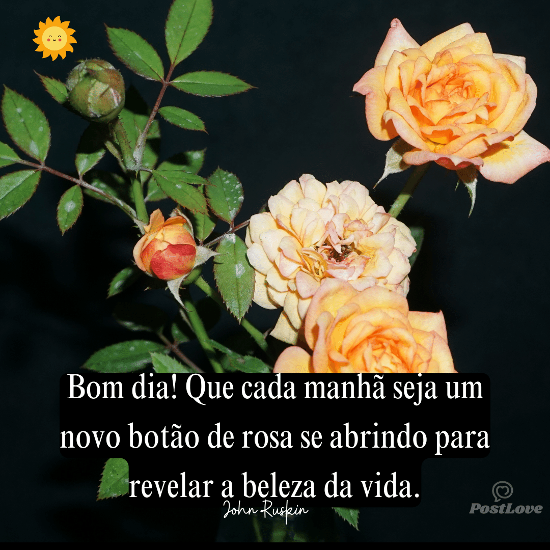 Bom dia! Que cada manhã seja um novo botão de rosa se abrindo para revelar a beleza da vida.