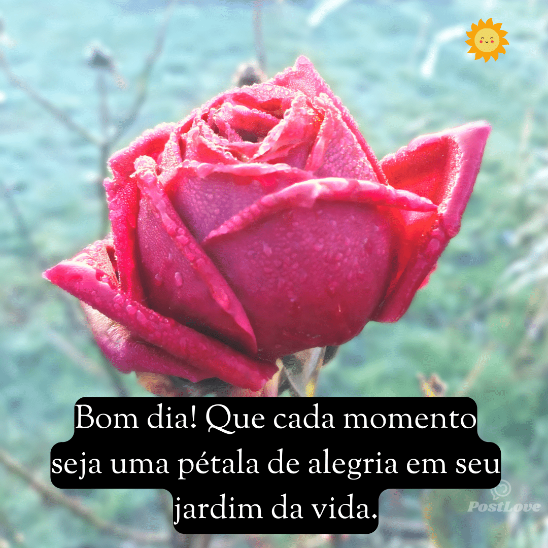 Bom dia! Que cada momento seja uma pétala de alegria em seu jardim da vida.