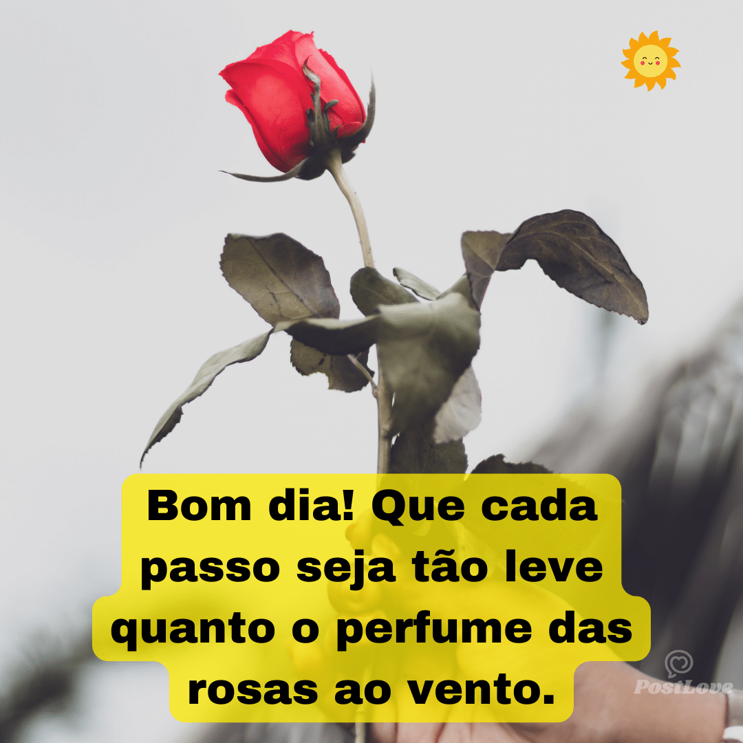 Bom dia! Que cada passo seja tão leve quanto o perfume das rosas ao vento.