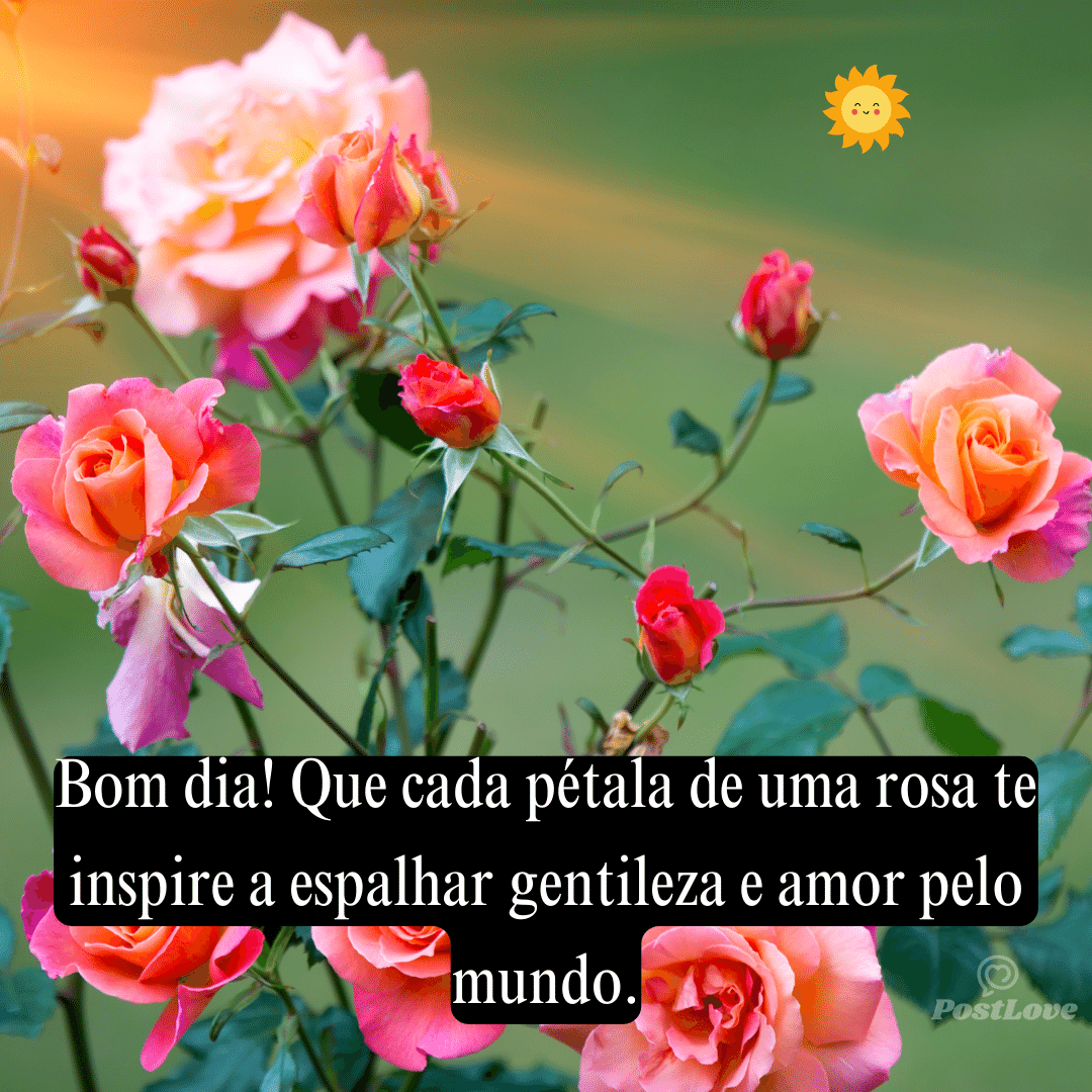 Bom dia! Que cada pétala de uma rosa te inspire a espalhar gentileza e amor pelo mundo.