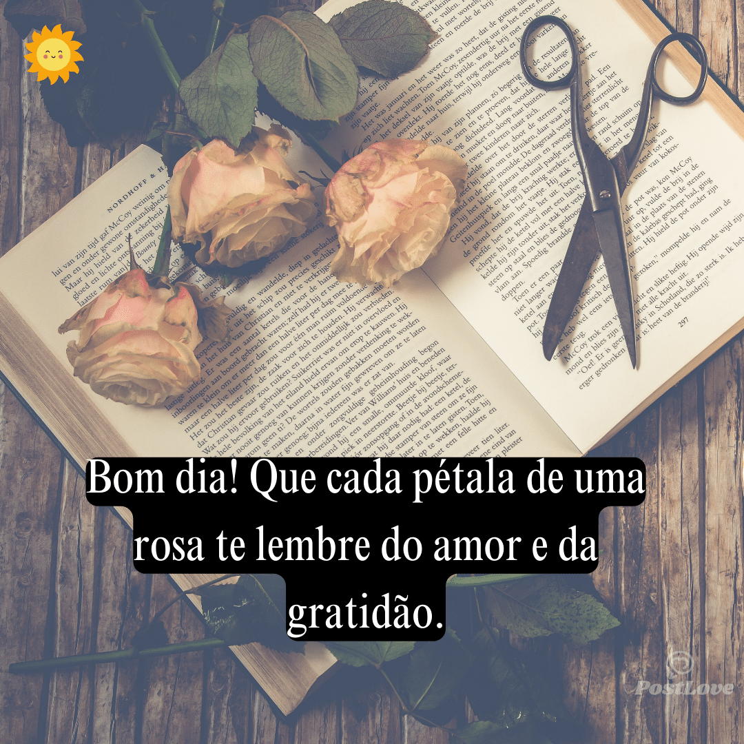 Bom dia! Que cada pétala de uma rosa te lembre do amor e da gratidão.