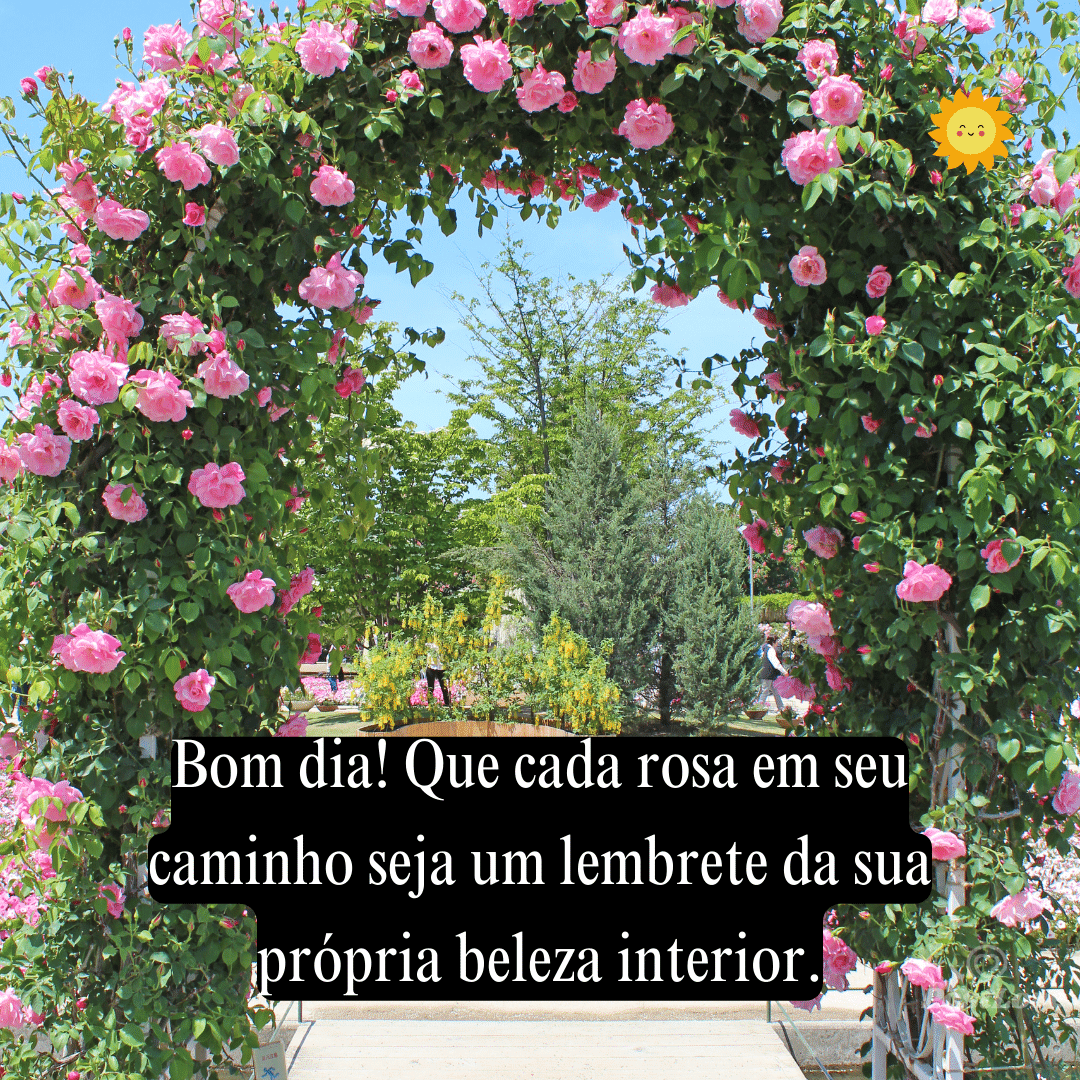 Bom dia! Que cada rosa em seu caminho seja um lembrete da sua própria beleza interior.