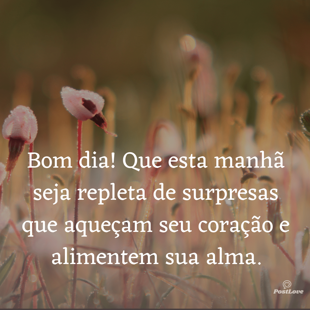 Bom dia! Que esta manhã seja repleta de surpresas que aqueçam seu coração e alimentem sua alma.