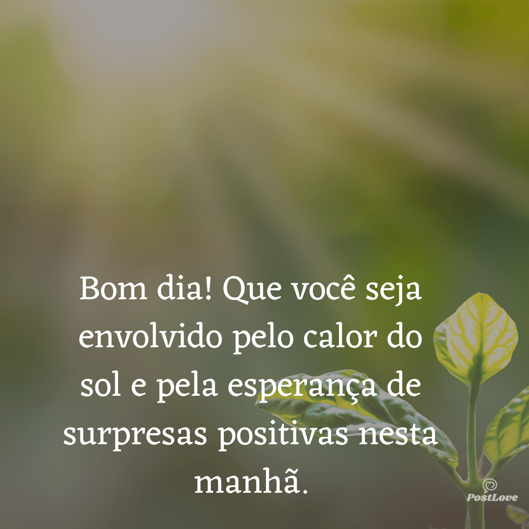 Bom dia! Que você seja envolvido pelo calor do sol e pela esperança de surpresas positivas nesta manhã.