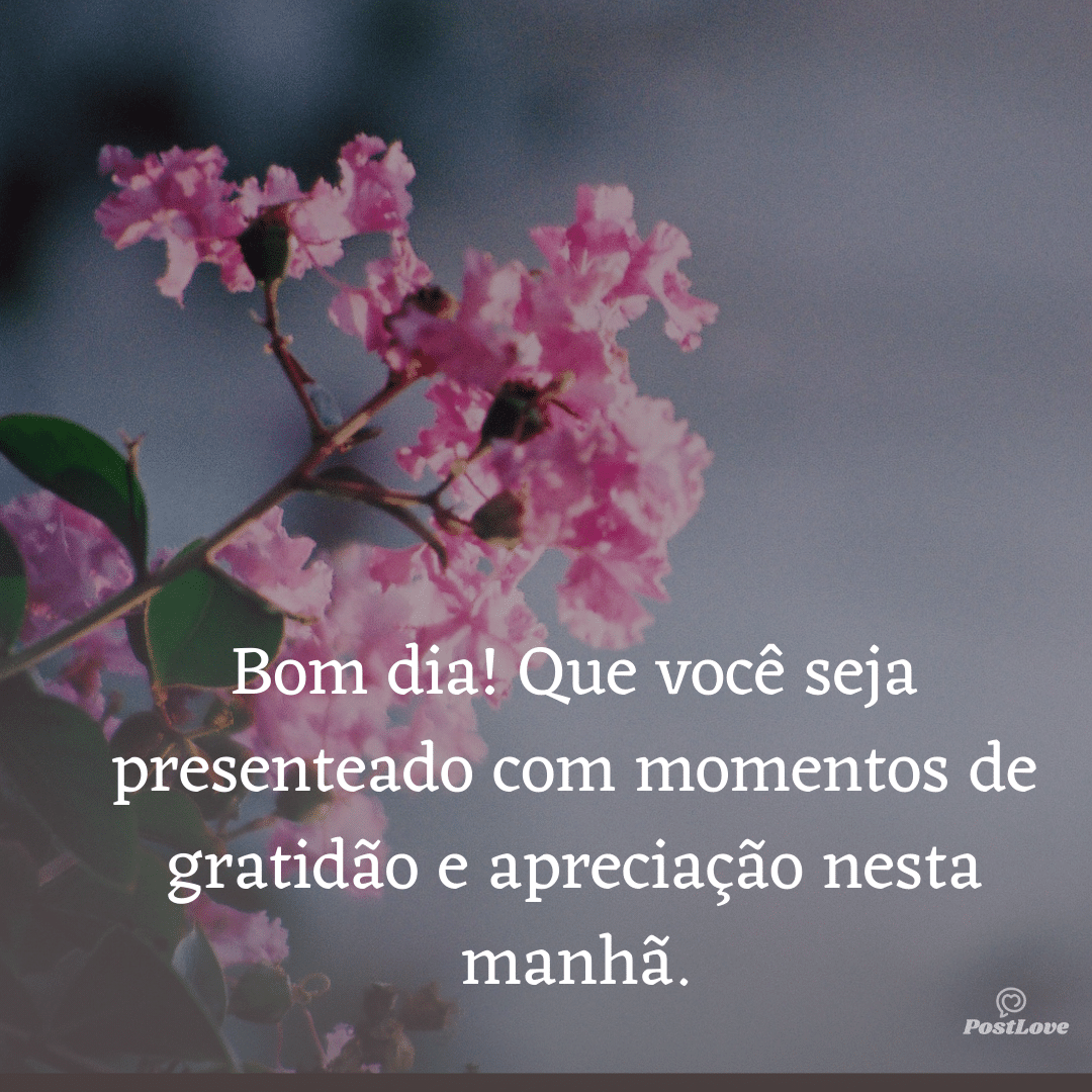 Bom dia! Que você seja presenteado com momentos de gratidão e apreciação nesta manhã.