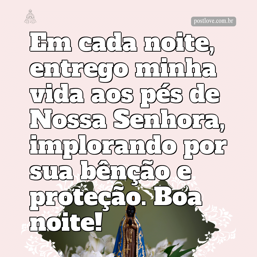 Em cada noite, entrego minha vida aos pés de Nossa Senhora, implorando por sua bênção e proteção. Boa noite!