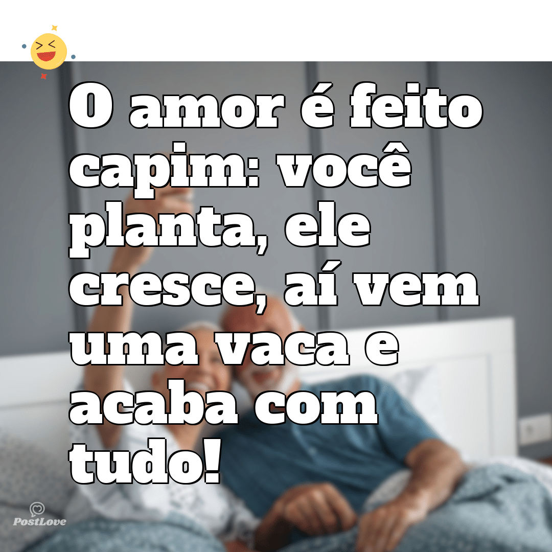 O amor é feito capim: você planta, ele cresce, aí vem uma vaca e acaba com tudo!