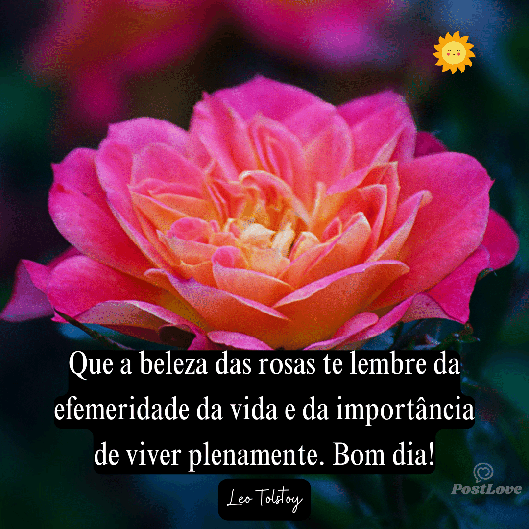 Que a beleza das rosas te lembre da efemeridade da vida e da importância de viver plenamente. Bom dia!