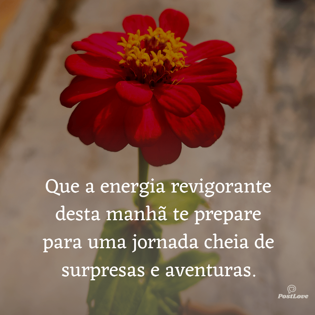 Que a energia revigorante desta manhã te prepare para uma jornada cheia de surpresas e aventuras.