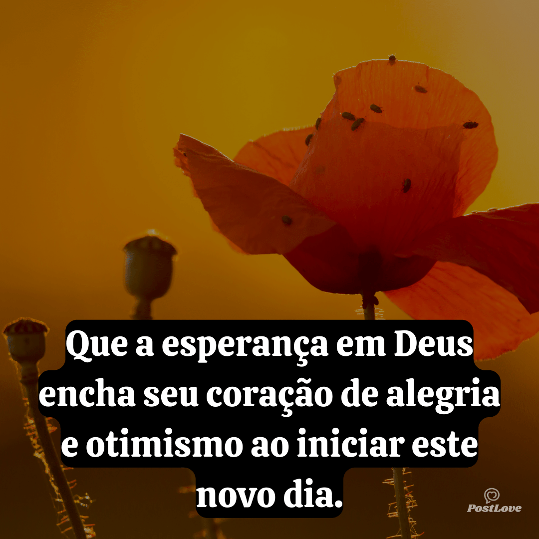 Que a esperança em Deus encha seu coração de alegria e otimismo ao iniciar este novo dia.