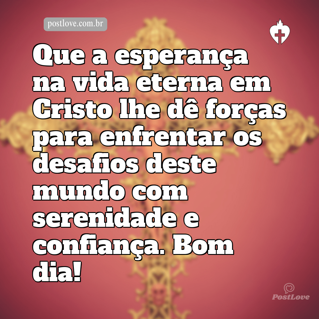 Que a esperança na vida eterna em Cristo lhe dê forças para enfrentar os desafios deste mundo com serenidade e confiança. Bom dia!