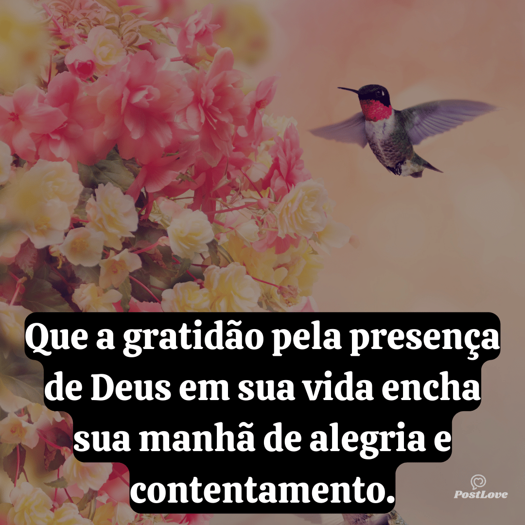 Que a gratidão pela presença de Deus em sua vida encha sua manhã de alegria e contentamento.