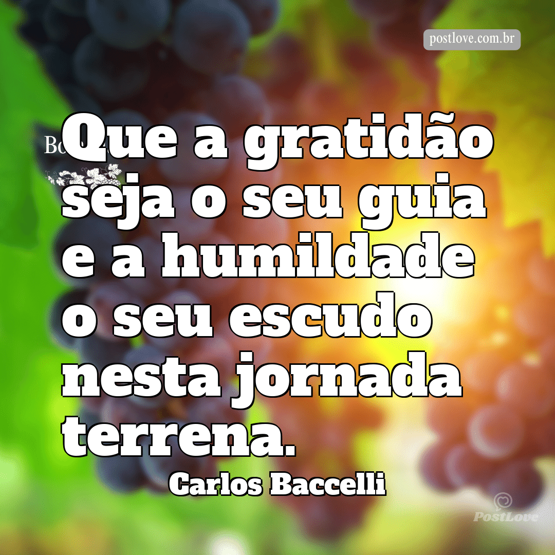 Que a gratidão seja o seu guia e a humildade o seu escudo nesta jornada terrena.