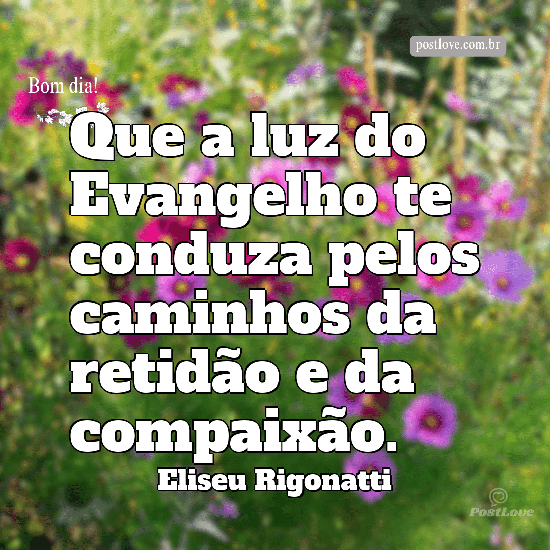 Que a luz do Evangelho te conduza pelos caminhos da retidão e da compaixão.