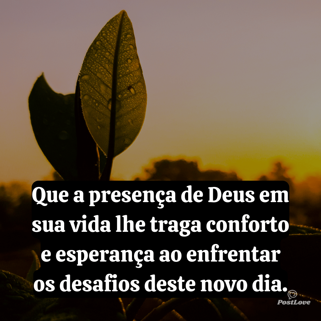 Que a presença de Deus em sua vida lhe traga conforto e esperança ao enfrentar os desafios deste novo dia.