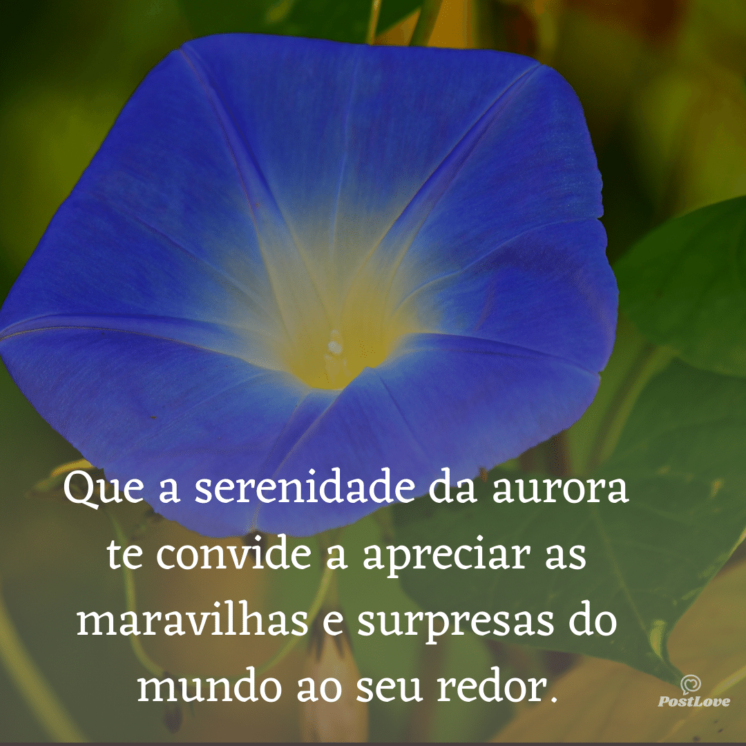 Que a serenidade da aurora te convide a apreciar as maravilhas e surpresas do mundo ao seu redor.