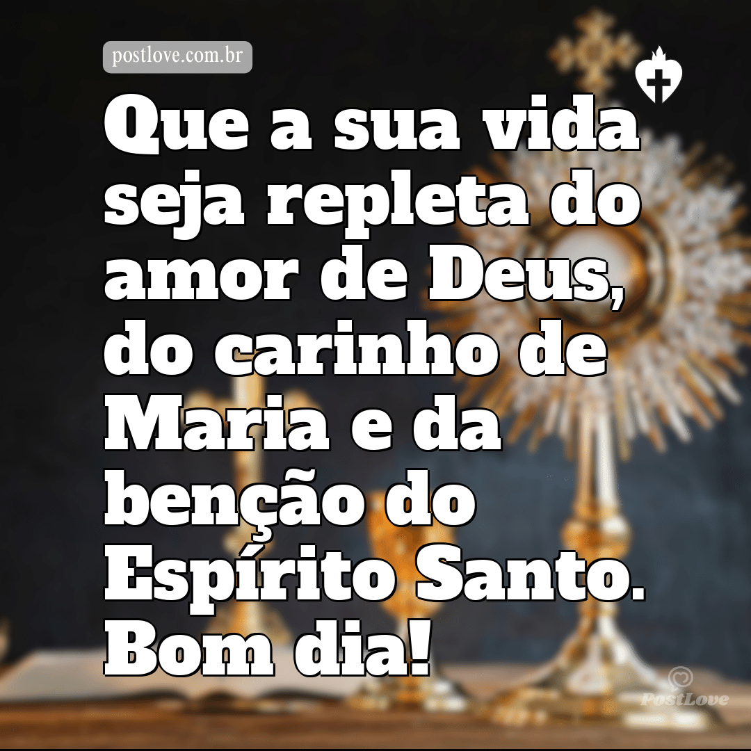 Que a sua vida seja repleta do amor de Deus, do carinho de Maria e da benção do Espírito Santo. Bom dia!