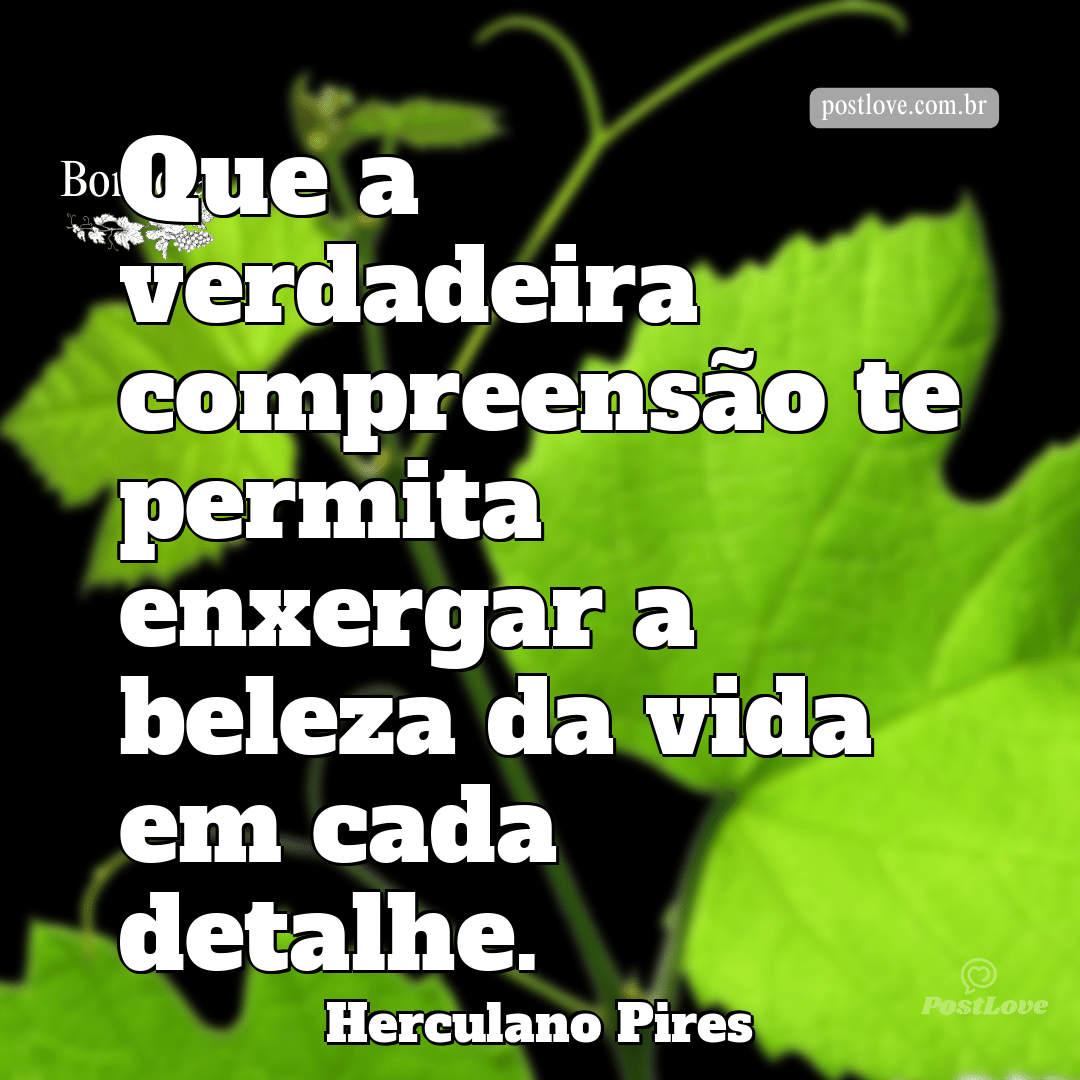 Que a verdadeira compreensão te permita enxergar a beleza da vida em cada detalhe.