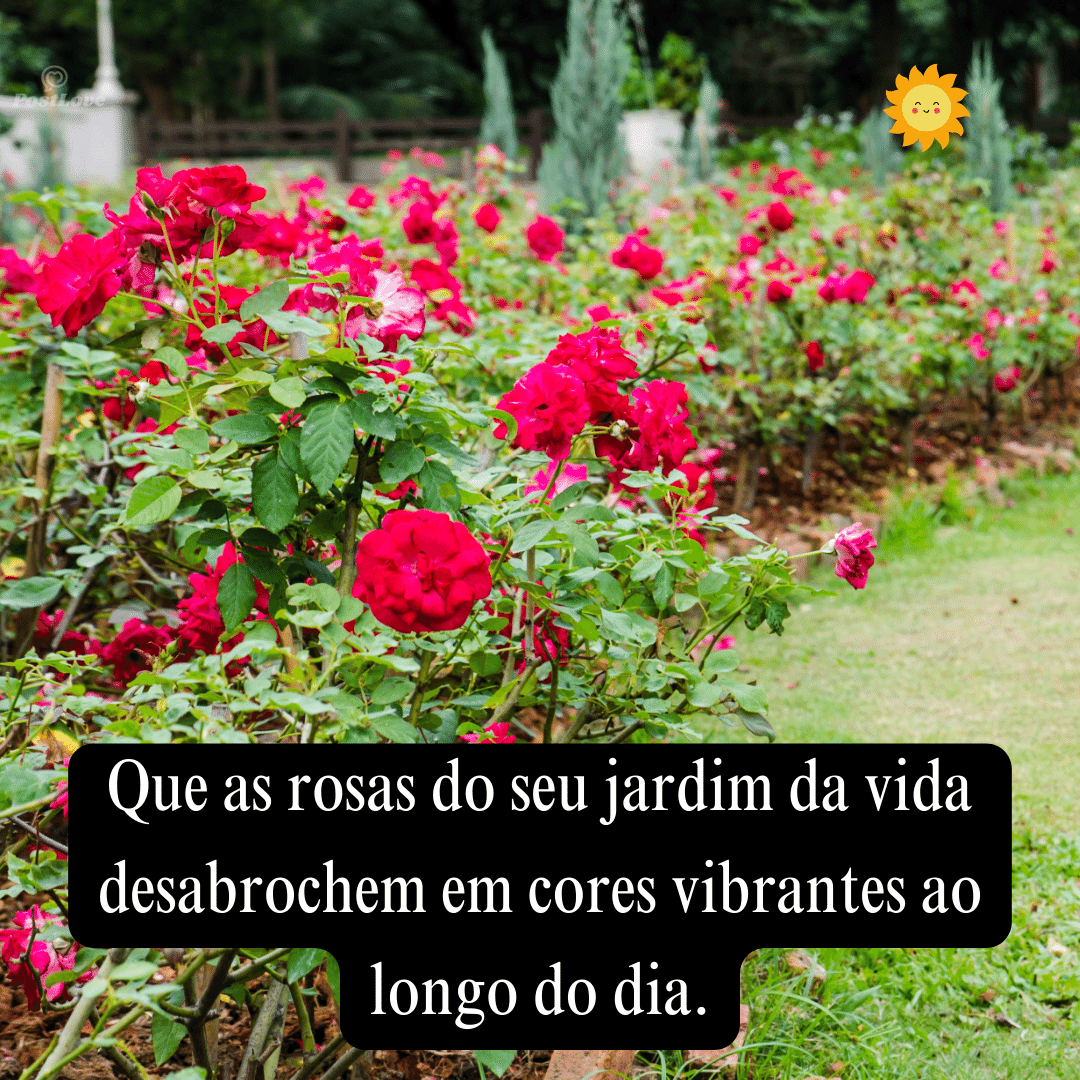 Que as rosas do seu jardim da vida desabrochem em cores vibrantes ao longo do dia.
