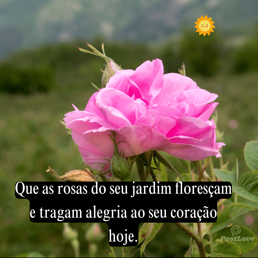 Que as rosas do seu jardim floresçam e tragam alegria ao seu coração hoje.