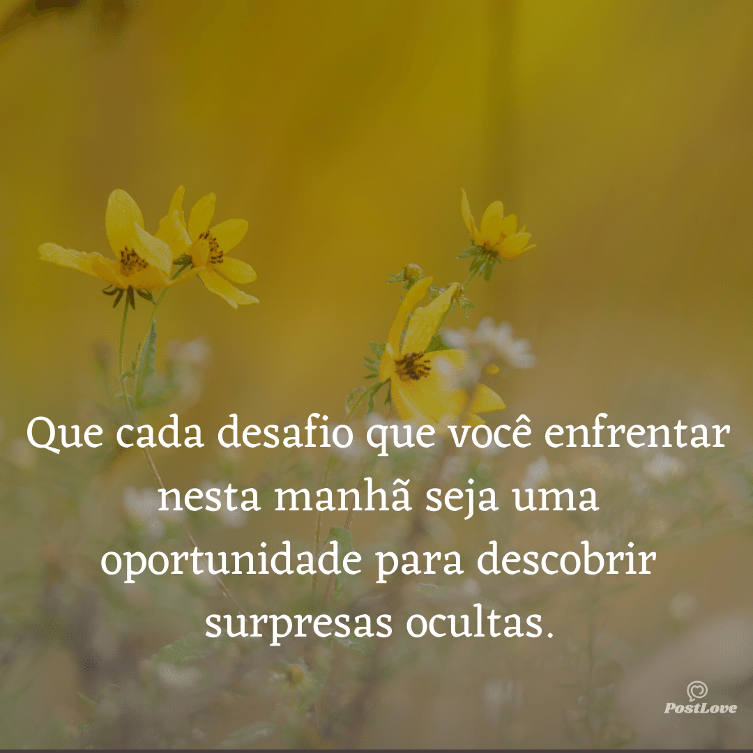 Que cada desafio que você enfrentar nesta manhã seja uma oportunidade para descobrir surpresas ocultas.