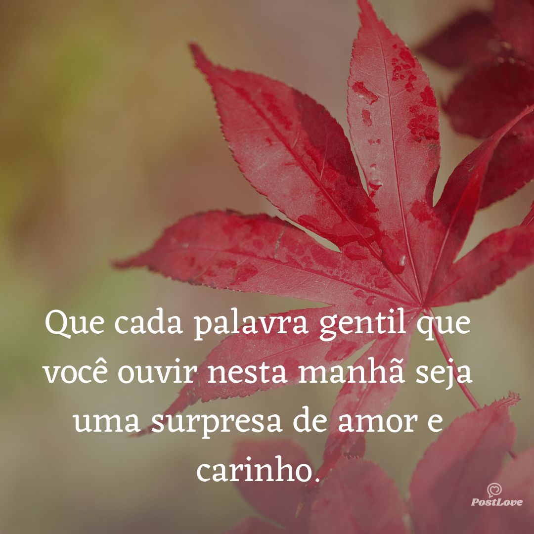 Que cada palavra gentil que você ouvir nesta manhã seja uma surpresa de amor e carinho.
