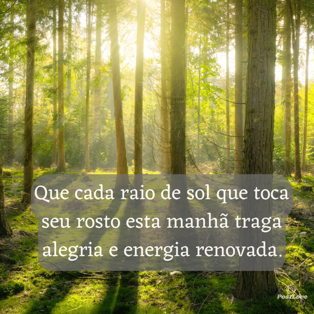 Que cada raio de sol que toca seu rosto esta manhã traga alegria e energia renovada.