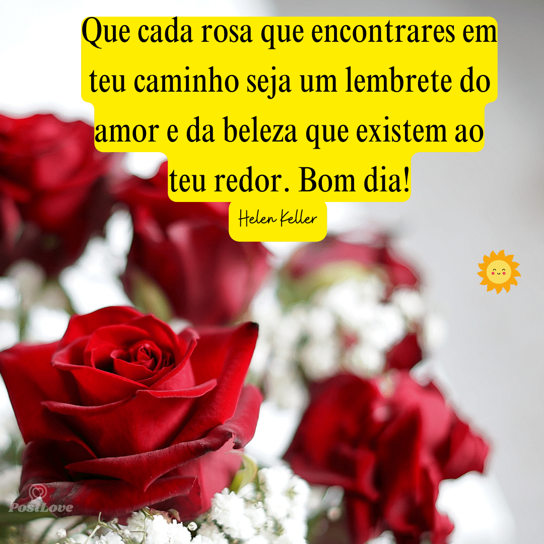 Que cada rosa que encontrares em teu caminho seja um lembrete do amor e da beleza que existem ao teu redor. Bom dia!