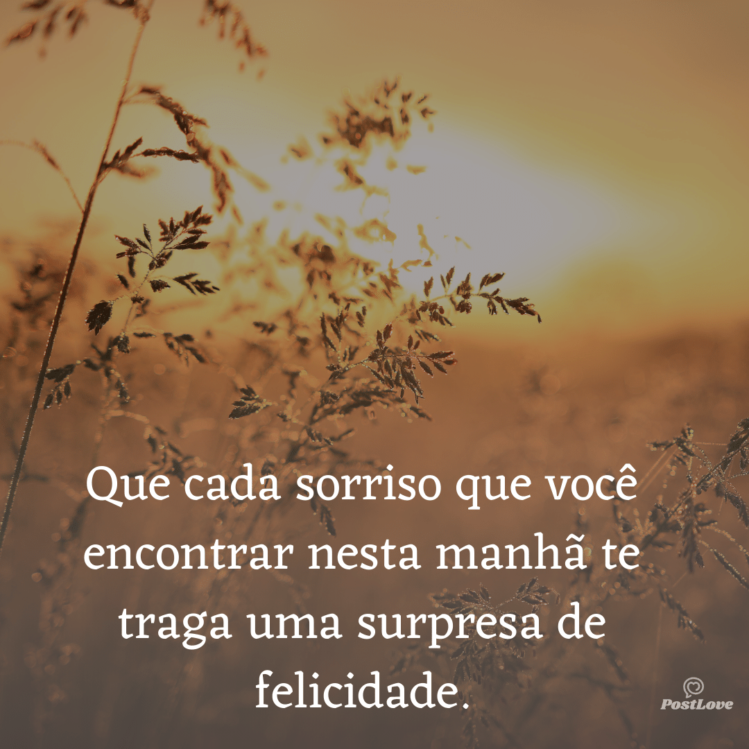 Que cada sorriso que você encontrar nesta manhã te traga uma surpresa de felicidade.
