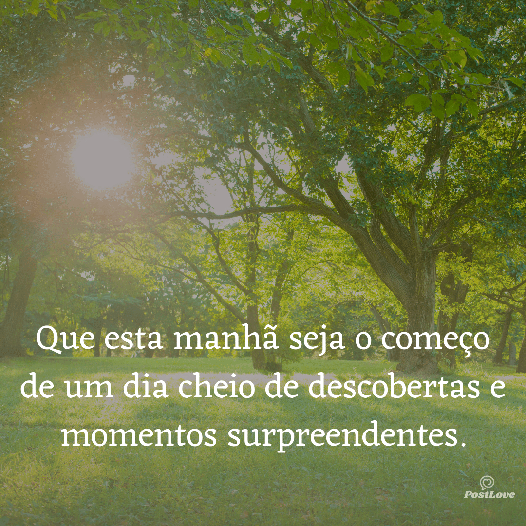 Que esta manhã seja o começo de um dia cheio de descobertas e momentos surpreendentes.