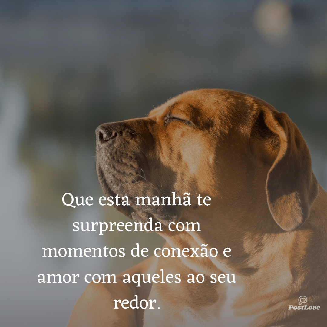 Que esta manhã te surpreenda com momentos de conexão e amor com aqueles ao seu redor.