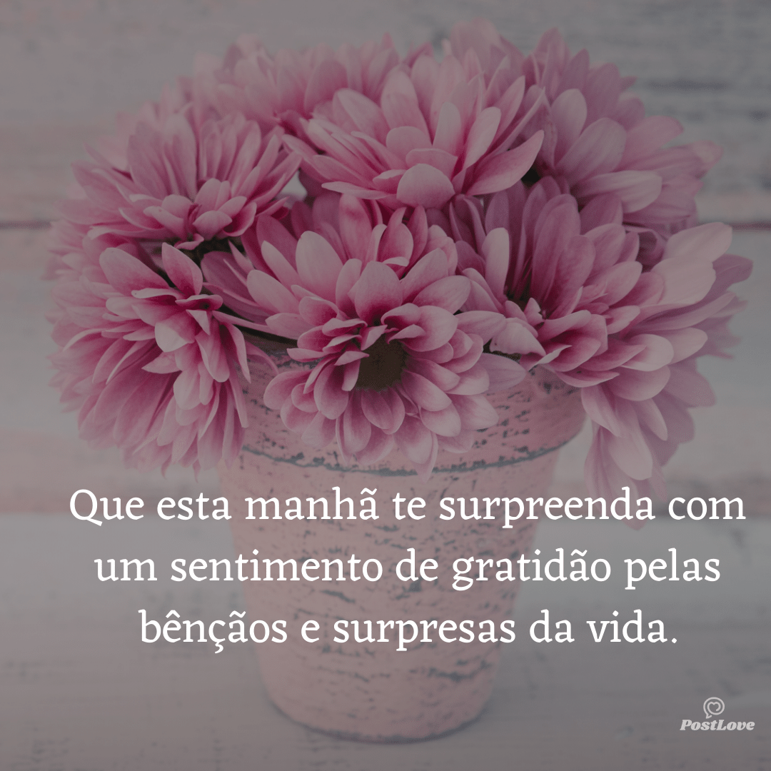 Que esta manhã te surpreenda com um sentimento de gratidão pelas bênçãos e surpresas da vida.