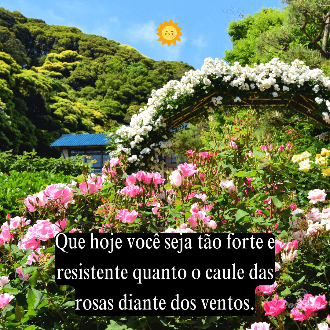 Que hoje você seja tão forte e resistente quanto o caule das rosas diante dos ventos.