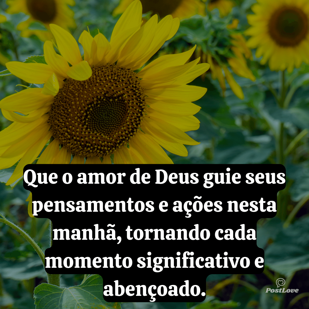 Que o amor de Deus guie seus pensamentos e ações nesta manhã, tornando cada momento significativo e abençoado.
