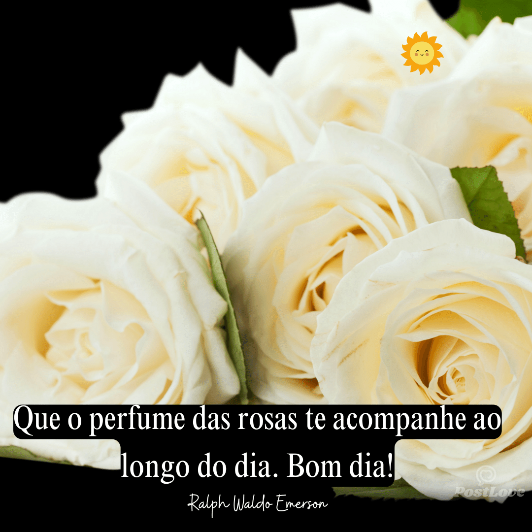 Que o perfume das rosas te acompanhe ao longo do dia. Bom dia!