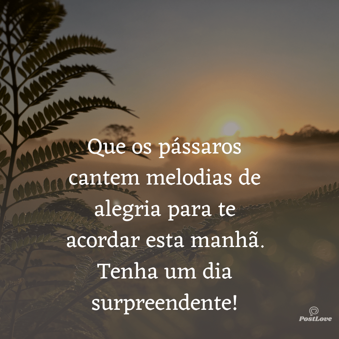 Que os pássaros cantem melodias de alegria para te acordar esta manhã. Tenha um dia surpreendente!