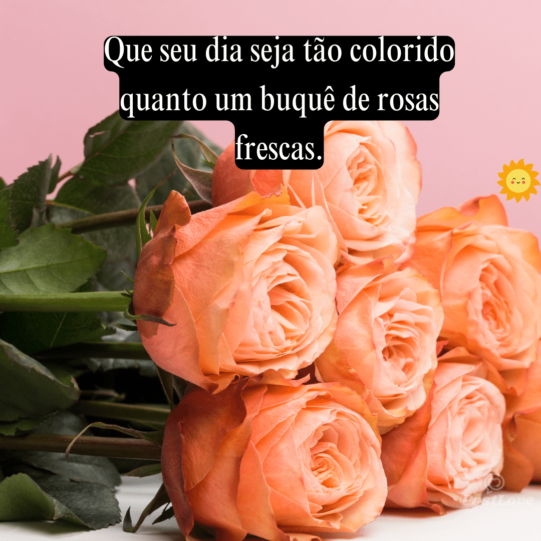 Que seu dia seja tão colorido quanto um buquê de rosas frescas.