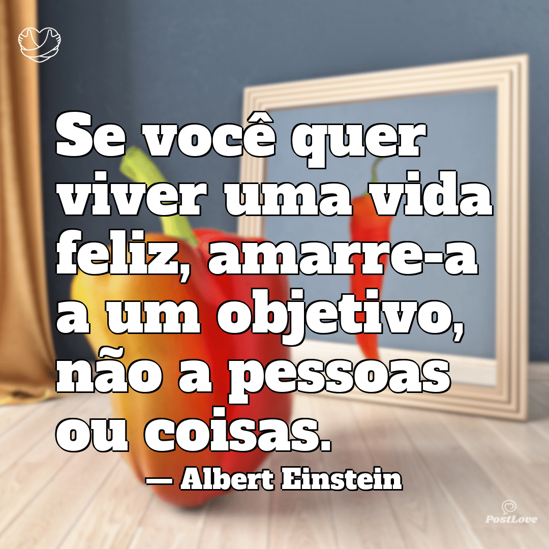 “Se você quer viver uma vida feliz, amarre-a a um objetivo, não a pessoas ou coisas.”