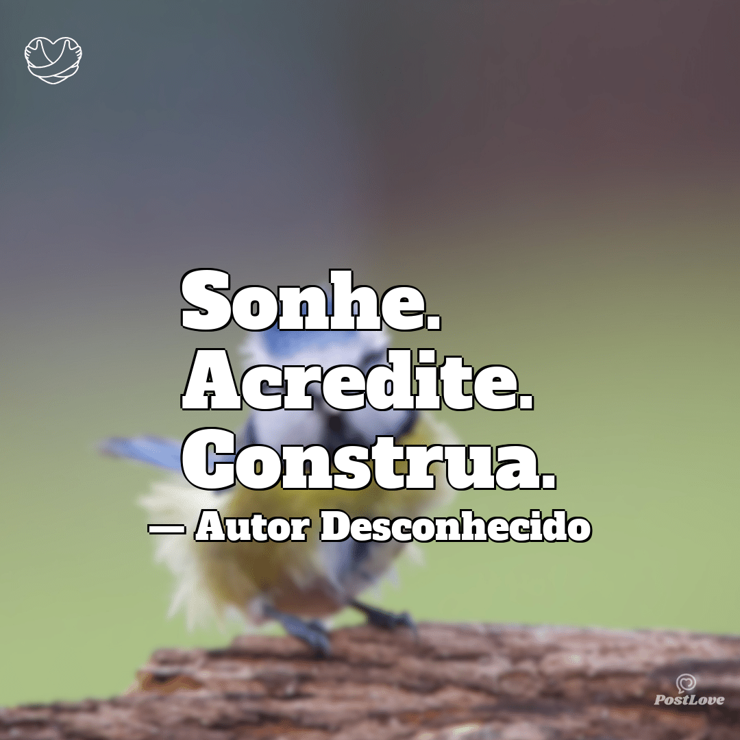 “Sonhe. Acredite. Construa.”