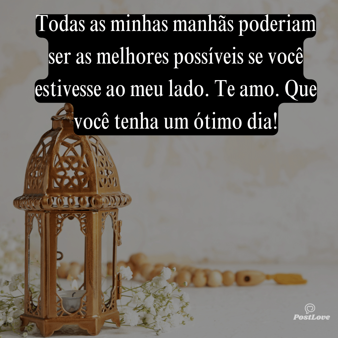 Todas as minhas manhãs poderiam ser as melhores possíveis se você estivesse ao meu lado. Te amo. Que você tenha um ótimo dia!